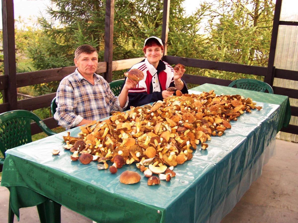 Biebrza24 - Agroturystyka Sztabin Exteriör bild