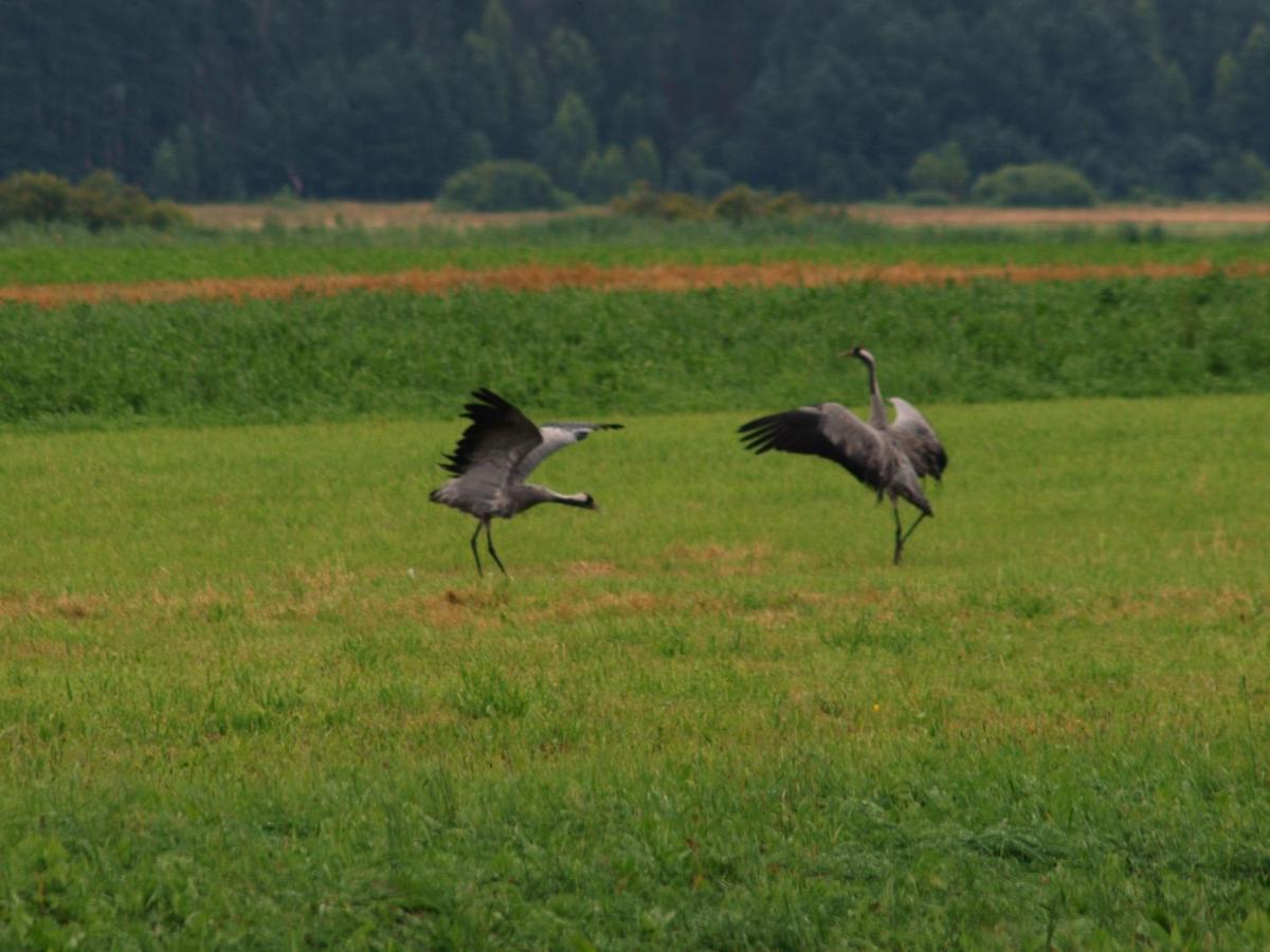 Biebrza24 - Agroturystyka Sztabin Exteriör bild