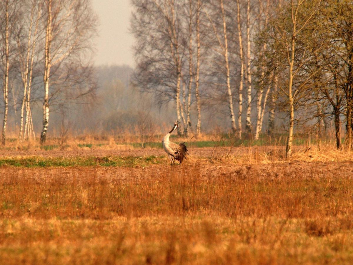 Biebrza24 - Agroturystyka Sztabin Exteriör bild